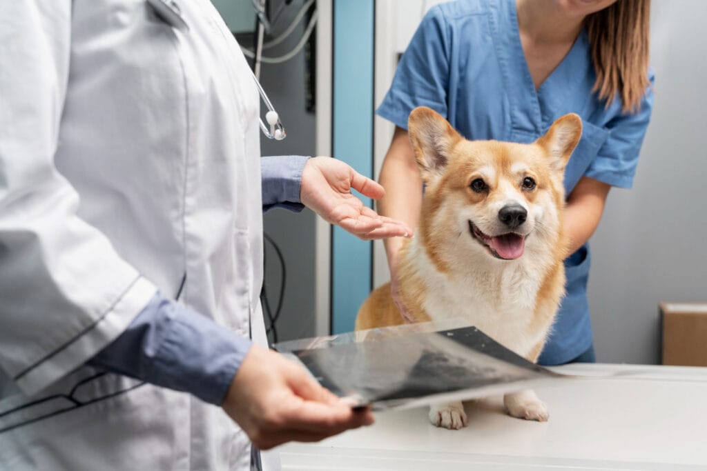 Sitio web ejemplo para clínica veterinaria