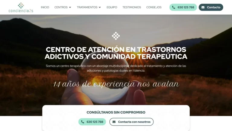 Web de Conciencia2s
