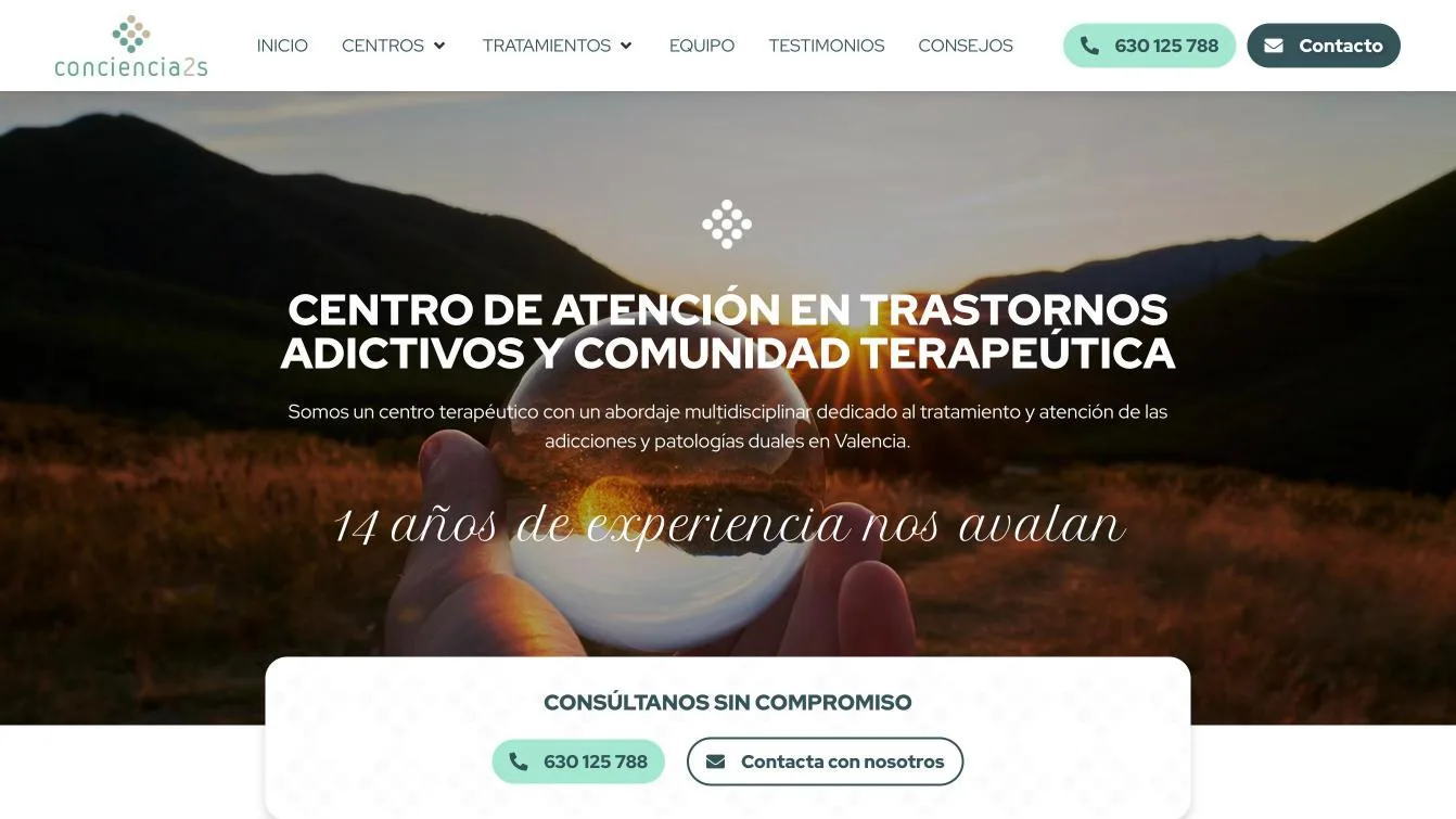 Diseño web Conciencia2s