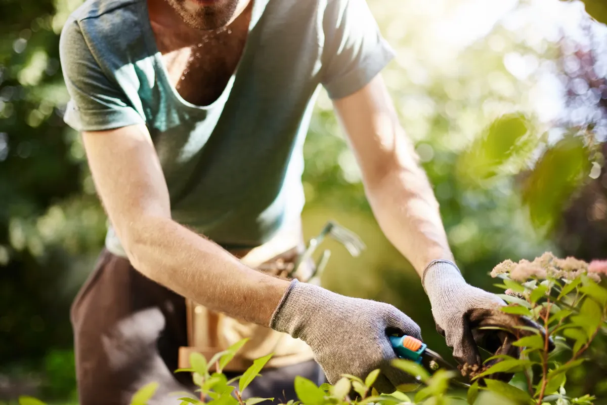 Diseño de páginas web para empresas de jardinería y paisajismo en Valencia